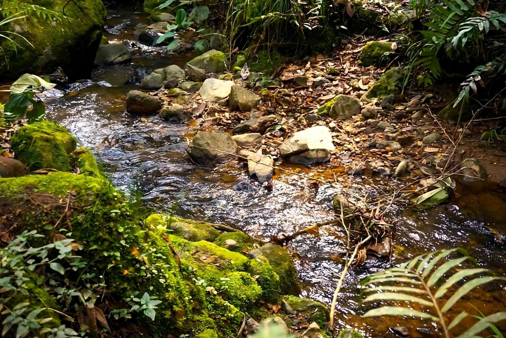ENCANTO Minicasitas en medio de la naturaleza Santa Elena  Exterior foto